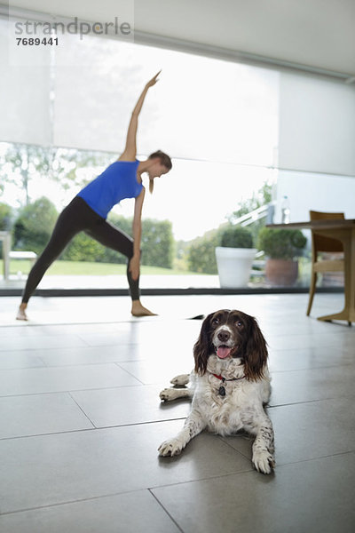 Hund mit Frau beim Yoga im Wohnzimmer
