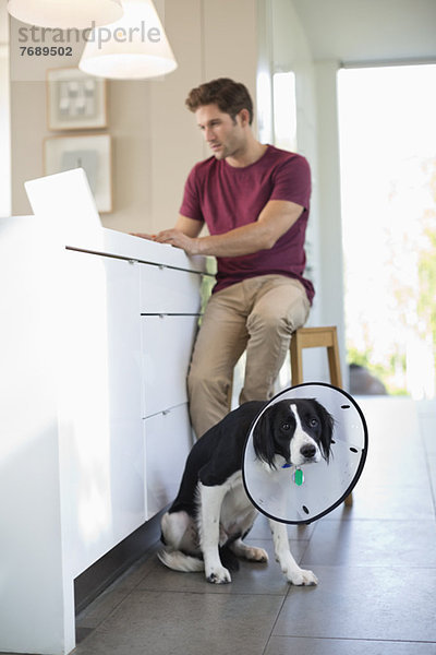 Mann mit Laptop von Hund trägt Kegel