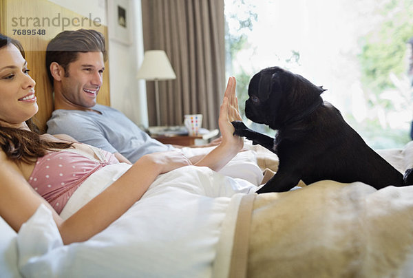 Frau unterrichtet Hund'high five' im Bett