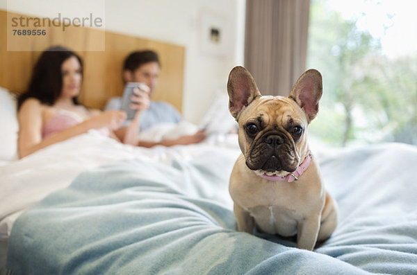 Hund sitzend mit Paar im Bett