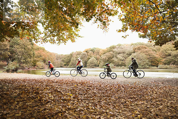 Familienfahrräder im Park