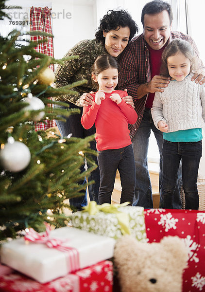 Geburtstagsgeschenk  Baum  unterhalb  Weihnachten  Untersuchung