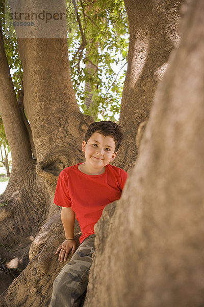 Junge - Person  Baum  Hispanier  klettern