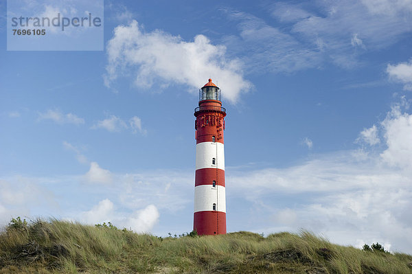 Leuchtturm  Amrum  Nordfriesische Inseln  Schleswig-Holstein  Deutschland  Europa