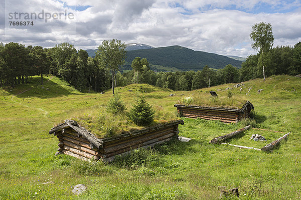 Viking grave hills  meadows and woodland  reconstructed log houses  11th Century  at front