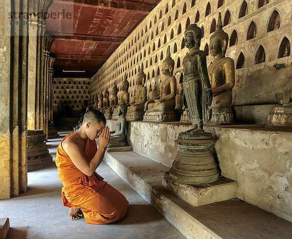 Novize betet vor Bronze-Buddha  Gehweg im Innenhof des Wat Si Saket Tempel  gesäumt von antiken Buddha-Statuen