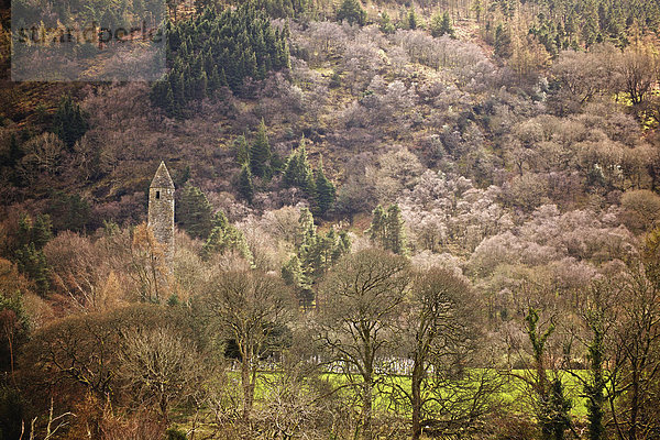 Round Tower Surrounded By Trees  Glendalough County Wicklow Ireland