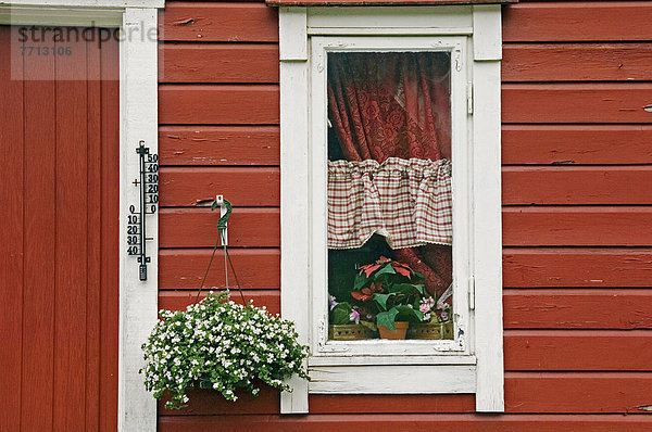 Fenster Pflanze Close-up rot Blockhaus Holzhaus