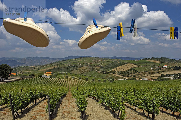 waschen Tal Close-up Ansicht Weinberg Douro Linie