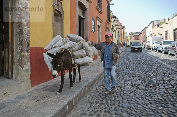 Kopfsteinpflaster  Senior  Senioren  Esel  Mann  gehen  Straße  Mexiko  Guanajuato  San Miguel de Allende