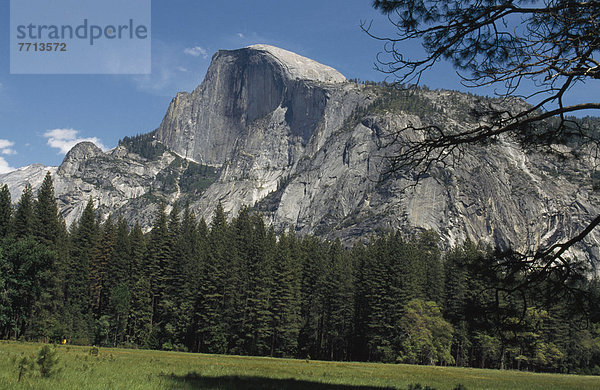 Tal  Yosemite Nationalpark