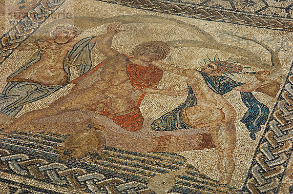 Großstadt  Mosaik  römisch  Volubilis