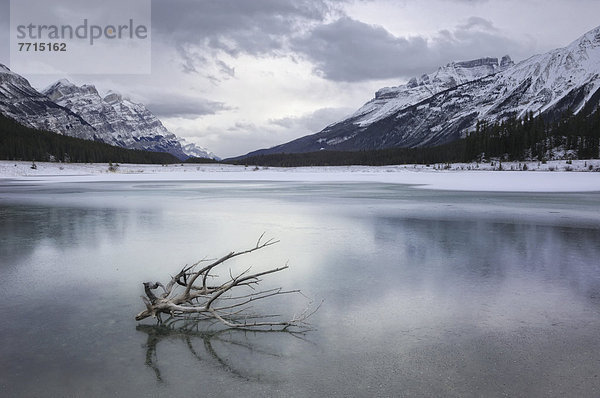 Nationalpark Winter Friedhof Rocky Mountains Eisfeld Banff kanadisch