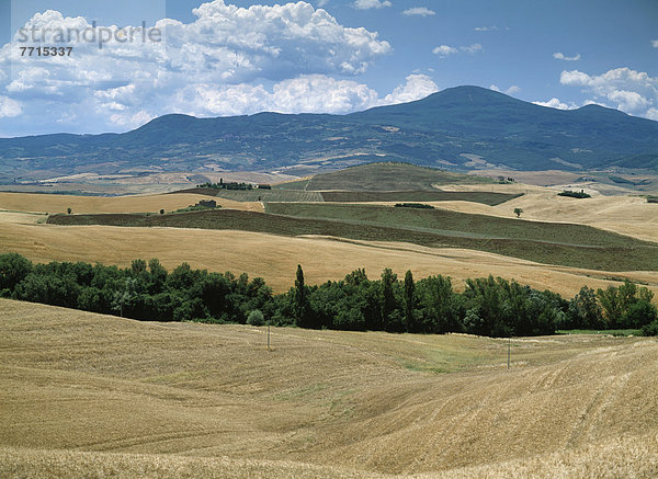 Landschaft