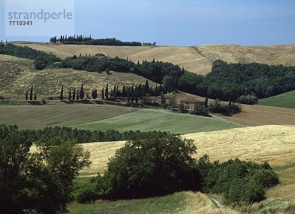 Landschaft