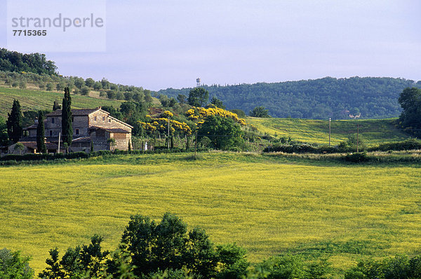 Ländliches Motiv  ländliche Motive  Landschaftlich schön  landschaftlich reizvoll  Landschaft