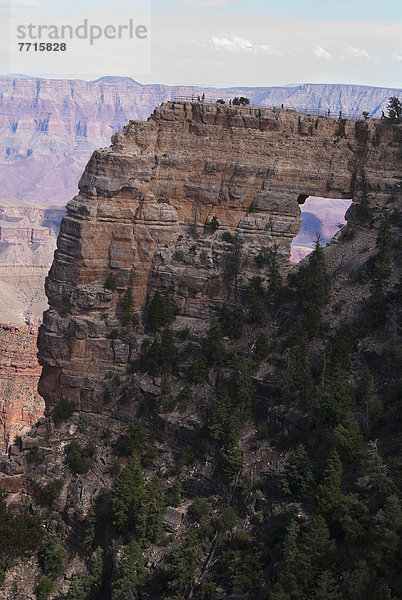 Fenster  Forschung  Ehrfurcht  hoch  oben  Gast  Schlucht  North Rim