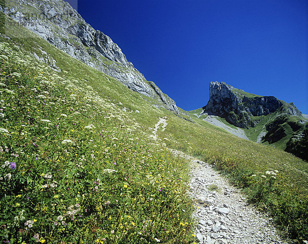 folgen  wandern  Alpen