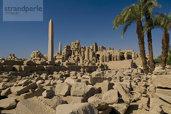 sehen  Ruine  Karnak