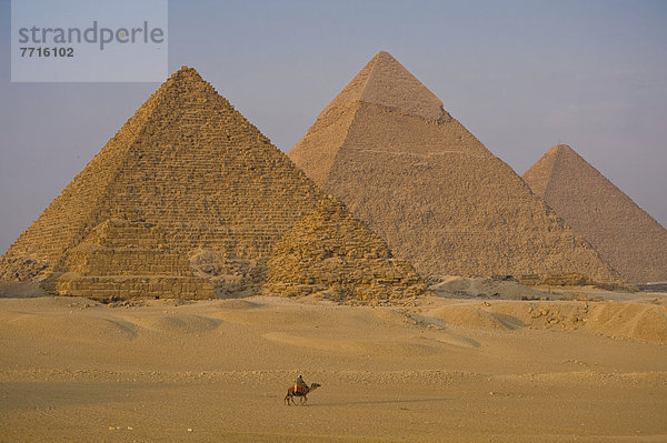 pyramidenförmig  Pyramide  Pyramiden  nebeneinander  neben  Seite an Seite  Mann  Kamel