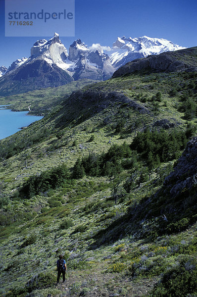 Torres del Paine Nationalpark  Chile  Patagonien