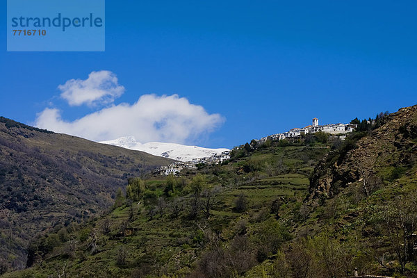 Capileira Landscape