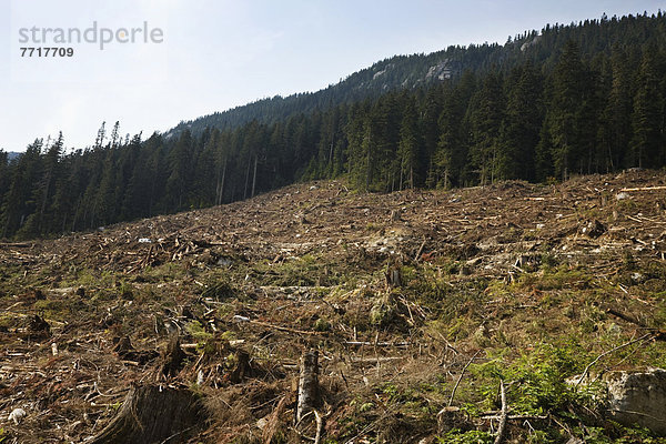 Area of clearcutting British columbia canada