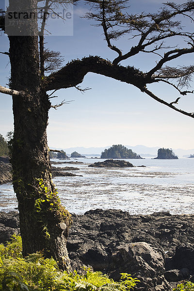 West coast trail in ucluelet Vancouver island british columbia canada