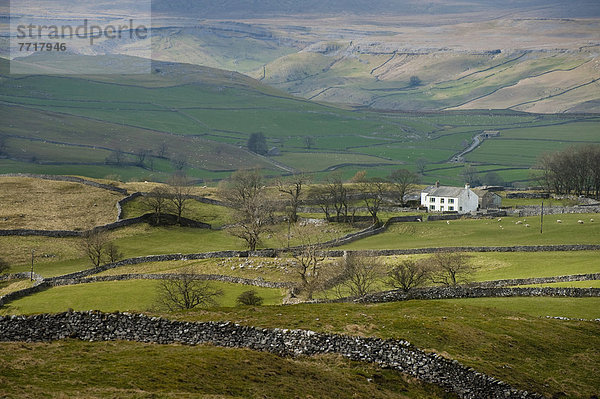 Rural Landscape