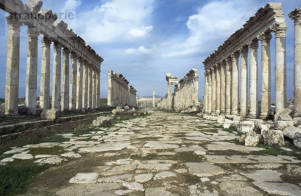 Apamea's Ruins