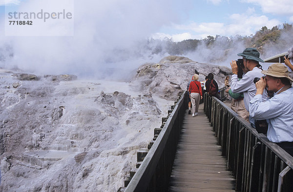 sehen  Geysir  Tourist  Neuseeland  Rotorua