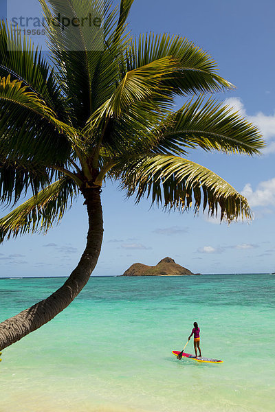 hoch  oben  Insel  Ruderer  Hawaii  Oahu  Weg