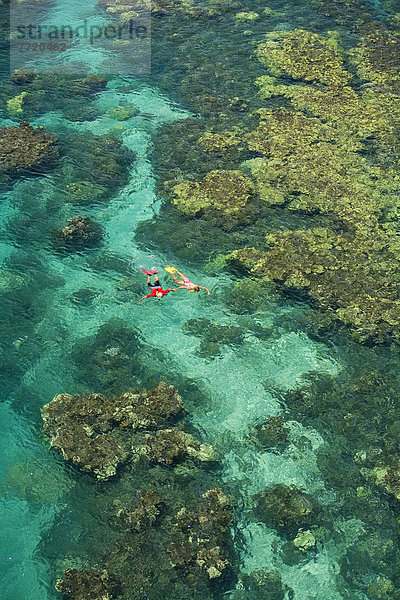 Schönheit  Ozean  Anordnung  schnorcheln  Erhöhte Ansicht  Aufsicht  Hawaii  Maui