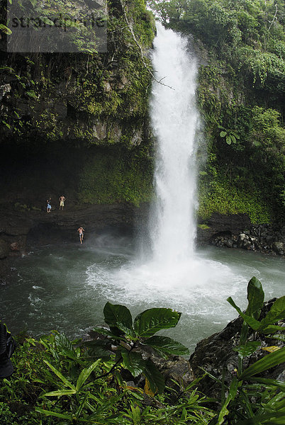 Tropisch  Tropen  subtropisch  Wasser  Mann  Ereignis  springen  Schwimmbad  Wasserfall  Fiji  Schiffswache