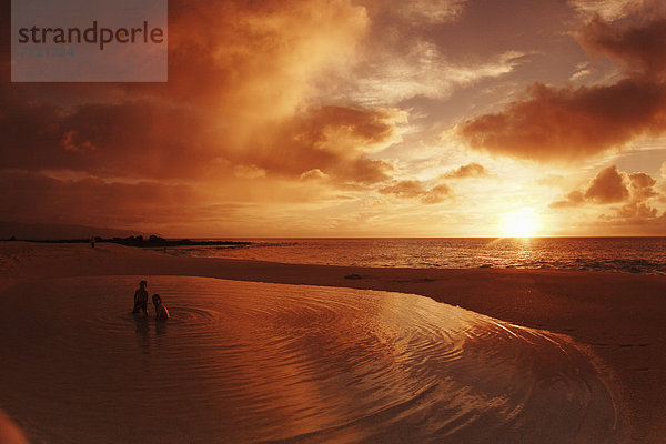 Mensch  Menschen  Strand  Sonnenuntergang  Silhouette  Ozean  Schwimmer  schwimmen  Hawaii  North Shore  Oahu