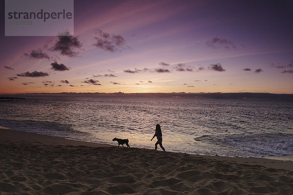 gehen  Strand  Sonnenuntergang  Silhouette  Hund  Mädchen  Hawaii  North Shore  Oahu