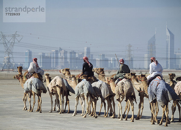 Camel Hearders