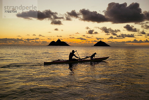 Mann  Sonnenuntergang  Hund  Kanu  1  Hawaii  Oahu