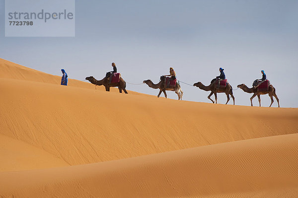 nahe  ankommen  Tourist  Wüste  Sahara  Reise  Zimmer  Kamel  Merzouga  Marokko