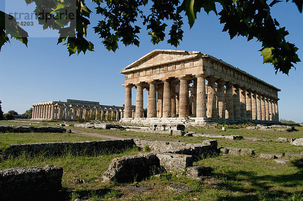 Kampanien  Italien  Paestum