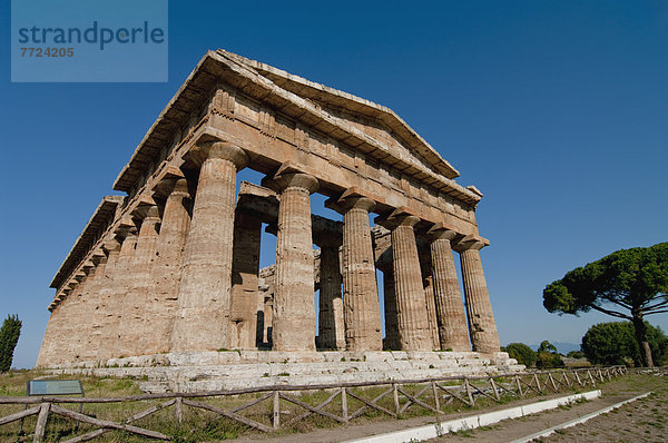 Kampanien  Italien  Paestum