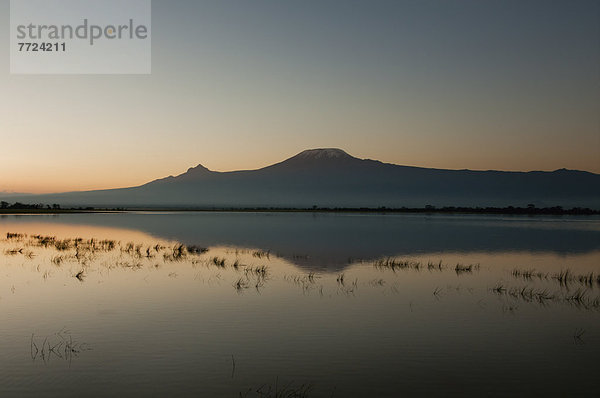 Landschaft  Amboseli Nationalpark  Kenia