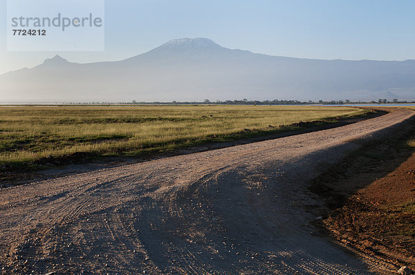 Landschaft  Amboseli Nationalpark  Kenia