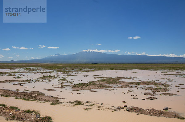 Amboseli Nationalpark  Kenia