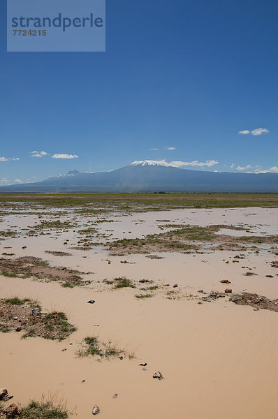 Amboseli Nationalpark  Kenia