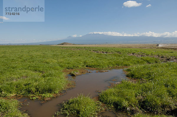 Amboseli Nationalpark  Kenia