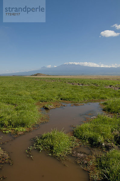 Amboseli Nationalpark  Kenia