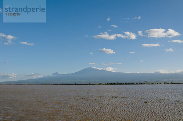 Amboseli Nationalpark  Kenia