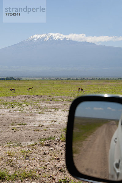 Auto  Ansicht  Seitenansicht  Amboseli Nationalpark  Kenia  Spiegel