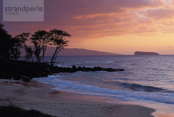 Sonnenuntergang  Hintergrund  ernst  Hawaii  Maui  Weichheit